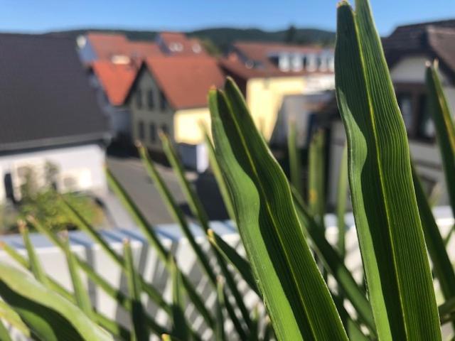 Apartamento Wohnen Beim Brotsommelier - Alpenkruste Darmstadt Exterior foto